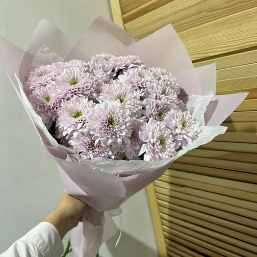 Хризантема балтика куставая 💞