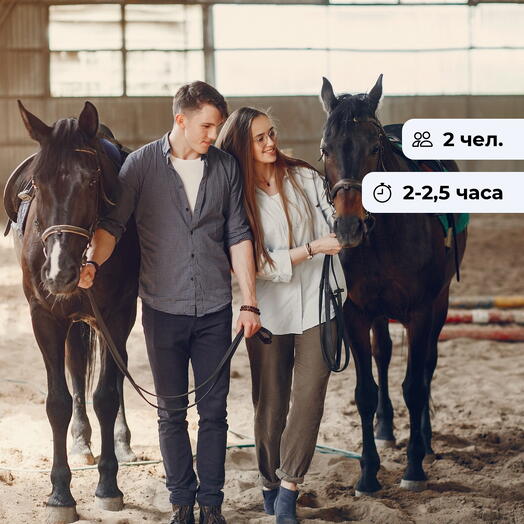 Лошадиные истории. Конная экскурсия