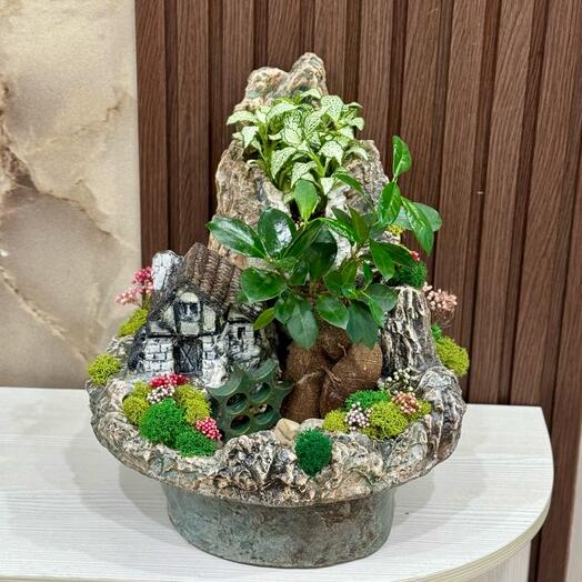 Дерево в скале - подарок на день рождения