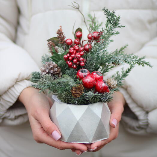 Зимняя ягода