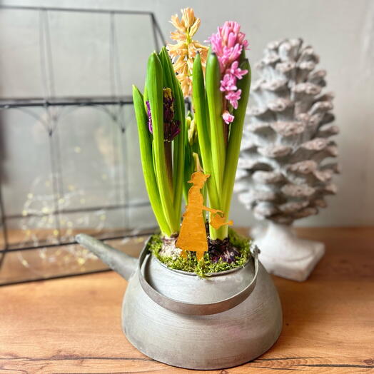 Гиацинты в состаренном кашпо-лейка «Старый сад»