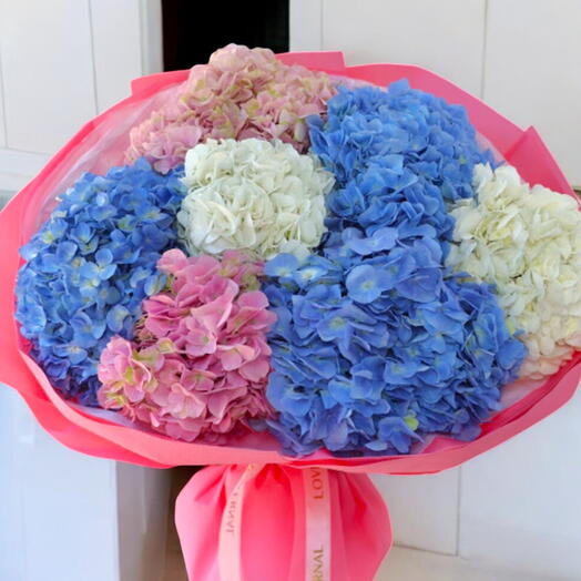 Воздушная Гортензия