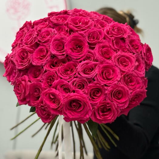 51 малиновая эквадорская роза 🌹