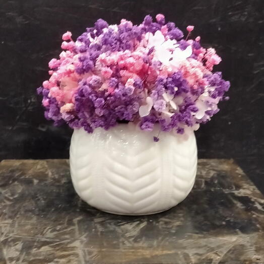 Гипсофила, гортензия