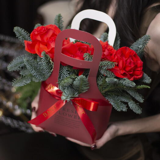 Сумка с нобилисом