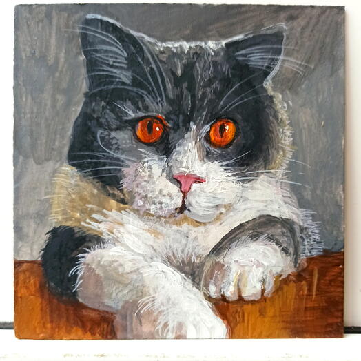 Кот предлагает серьёзный разговор