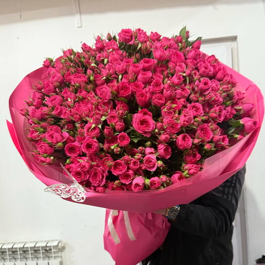 София кустовая Роза 51