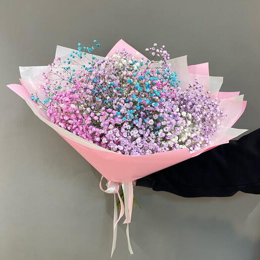 Радужная гипсофила