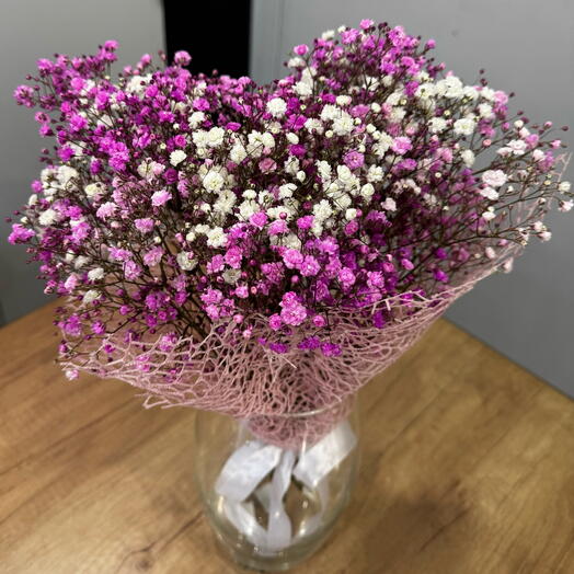 Бело-розовая гипсофила