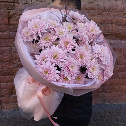 Розовая хризантема🌸
