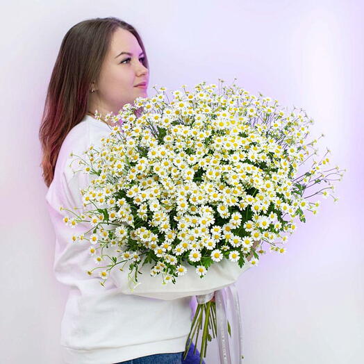 Ромашковые сны
