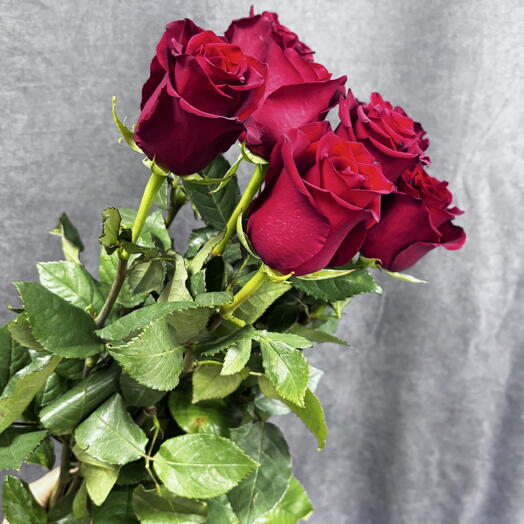 7 красных роз под ленту (70см)