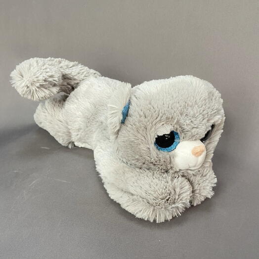 Кот глазастик