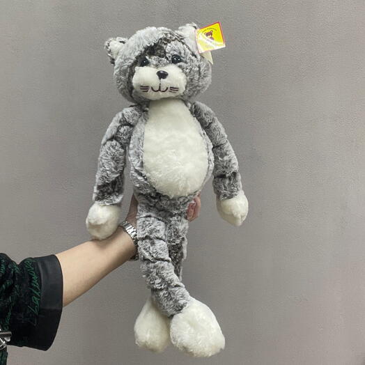 Кот