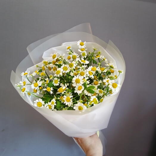 Букет из ромашек (танацетум) (5 шт)