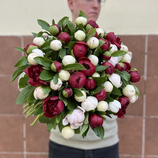 Пион 51 ️