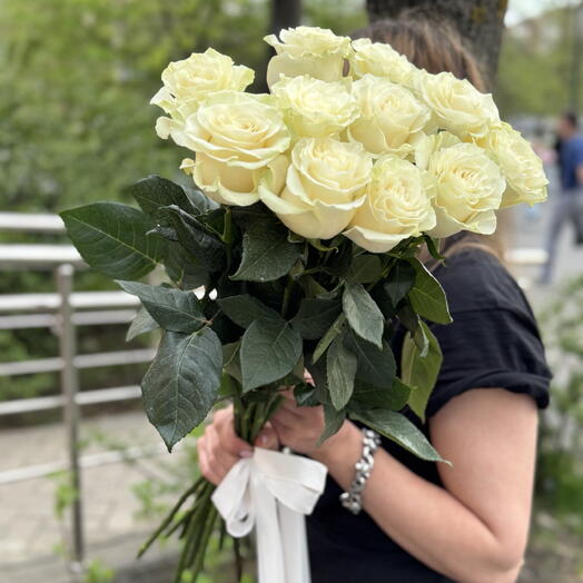 Роза белая Мондиаль 11шт