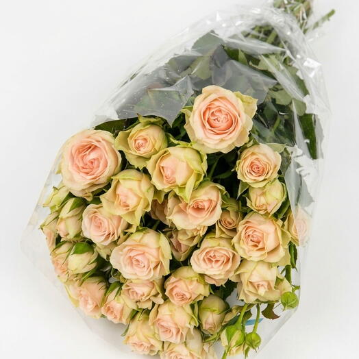Пачка кустовых нежно-розовых роз (10 штук)🌸🌸🌸