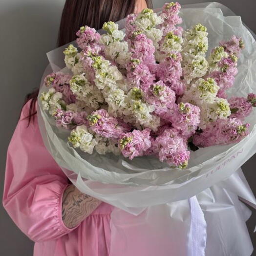 Маттиола 39 белая и розовая