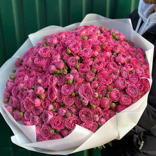 Кустовые пионовидные розы Бомбастик в тонах️😍
