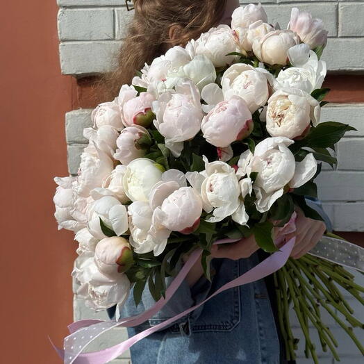 Букет из 35 нежных белых пионов