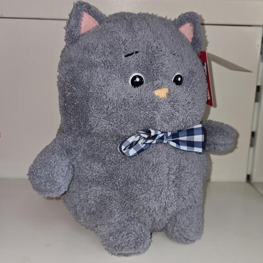 Кот Пухляшик кудряшик