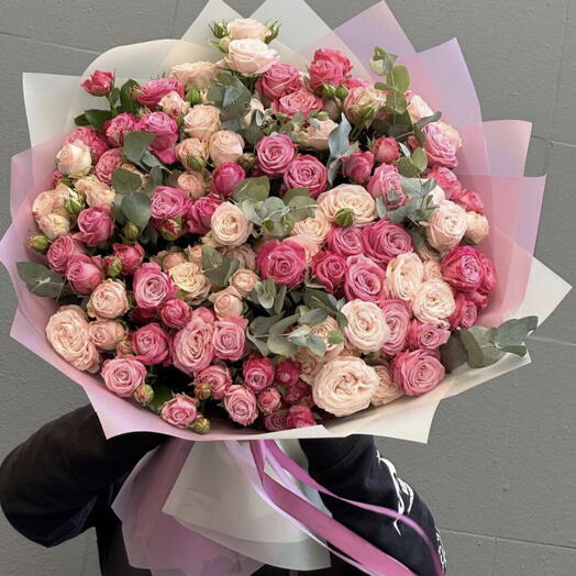 Blush Symphony