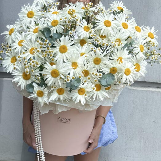 Коробка с ромашками