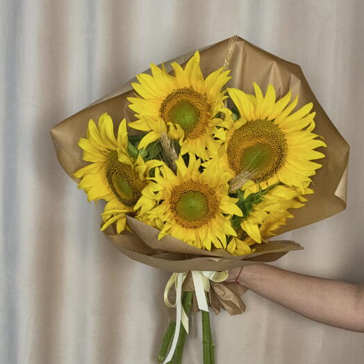 Моно подсолнухи 🌻