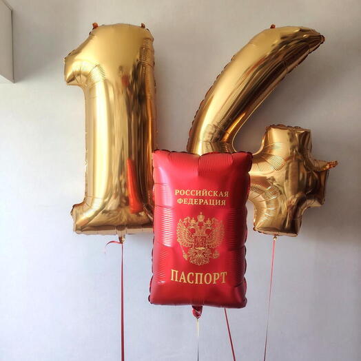 Шары паспорт на день рождения ,14 лет шары цифры