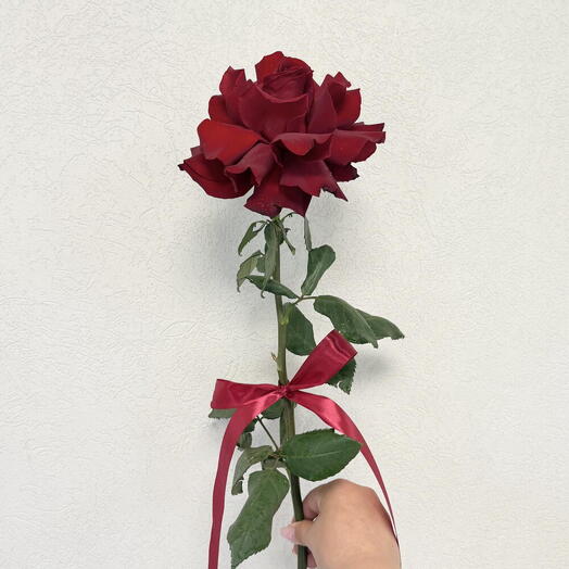 Французская Роза 🌹60 см