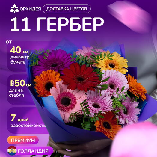 11 гербер микс