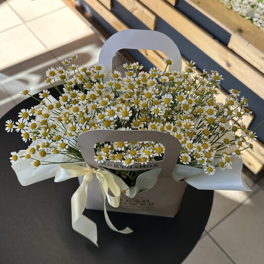 Милая сумочка с ромашкой 🌼