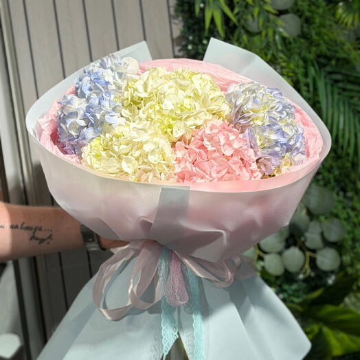 Микс гортензий 🌸