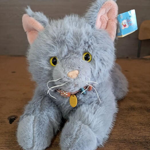 🐱 Серый котик — пушистое облачко для тёплых объятий! 🥰