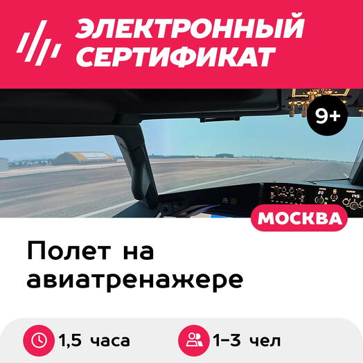 Подарочный сертификат Полет на авиатренажере самолета Boeing 737 MAX, 1,5 часа, 1-3 чел, выходные