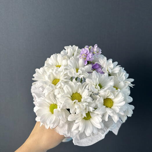 Мини композиция из ромашек🤍