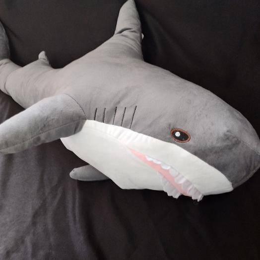 Shark Stella 100