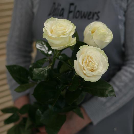 Ramo de tres rosas blancas