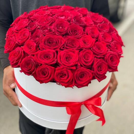 51 rosa roja en una Caja de sombrero