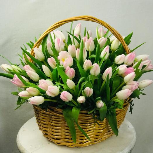 Свежий ветер