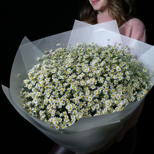 Daisies in crafting