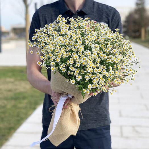 Ромашка