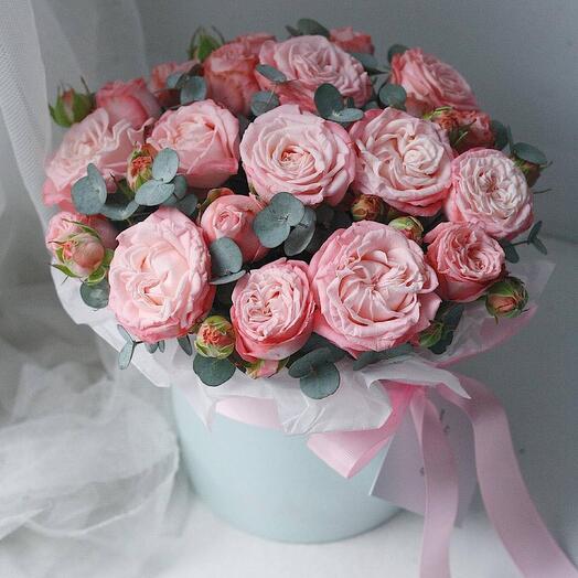Rosa de peonía en una Caja