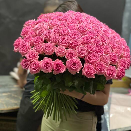 Rose 101