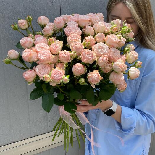 Rosas de peonía arbustiva