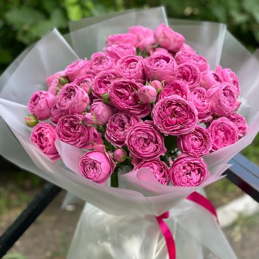 Rosas arbustivas en forma de peonía 😍
