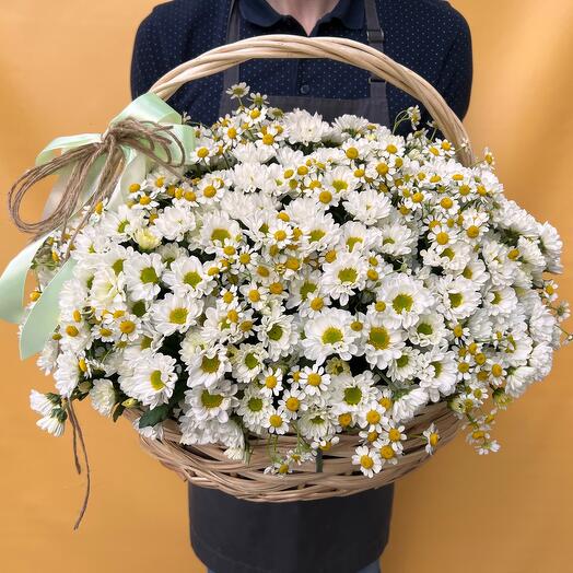Large basket with chamomile and white chrysanthemum