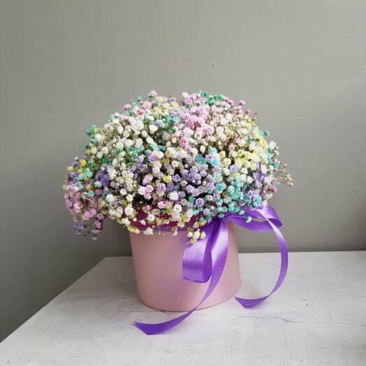 Gypsophila iridiscente en una Caja