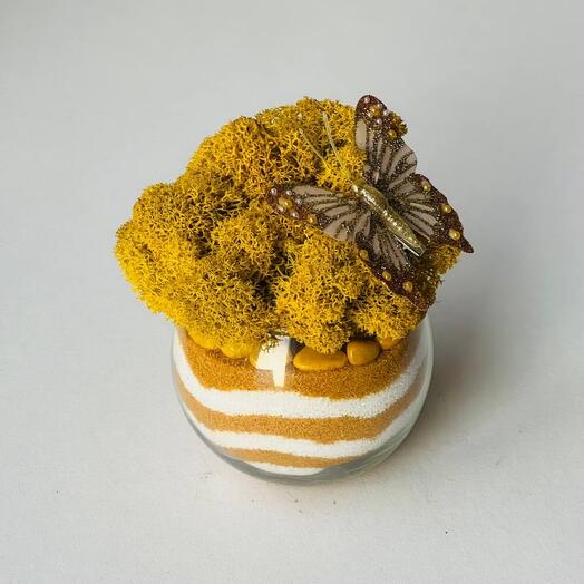 Golden florarium with moss and butterfly